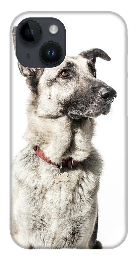 Pets iPhone 14 Case featuring the photograph German Shepherd - The Amanda Collection by Amandafoundation.org