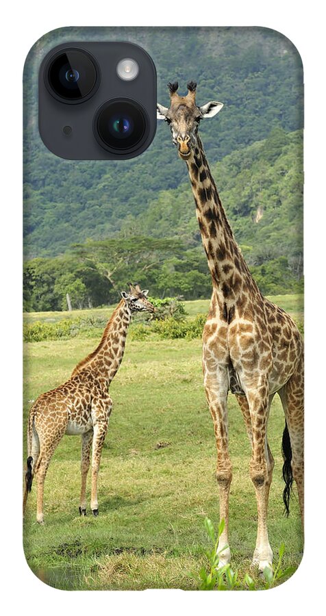 Thomas Marent iPhone 14 Case featuring the photograph Giraffe Mother And Calftanzania by Thomas Marent
