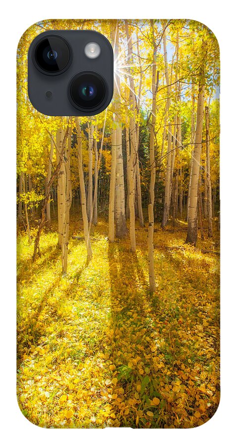 Aspens iPhone 14 Case featuring the photograph Golden by Darren White