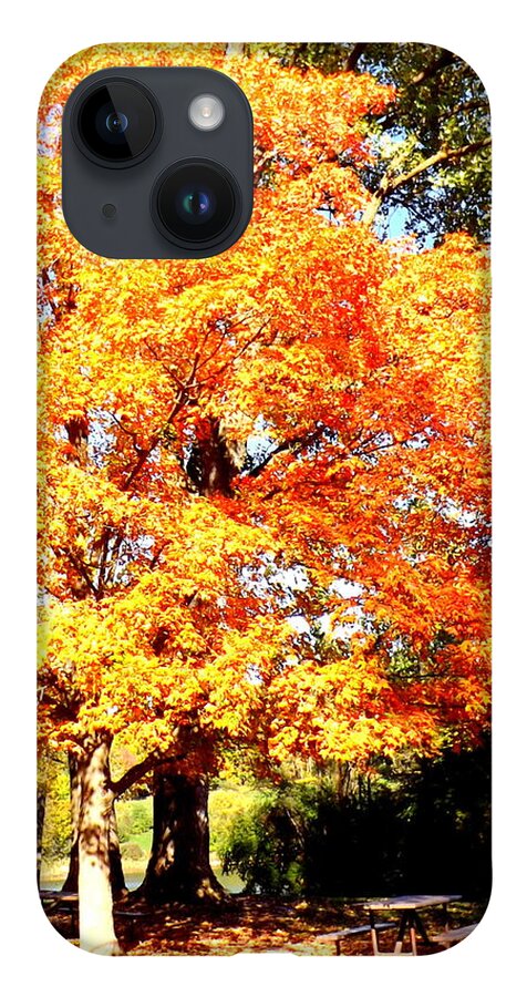 Golden Picnic Spot iPhone 14 Case featuring the photograph Golden Picnic Spot by Darren Robinson