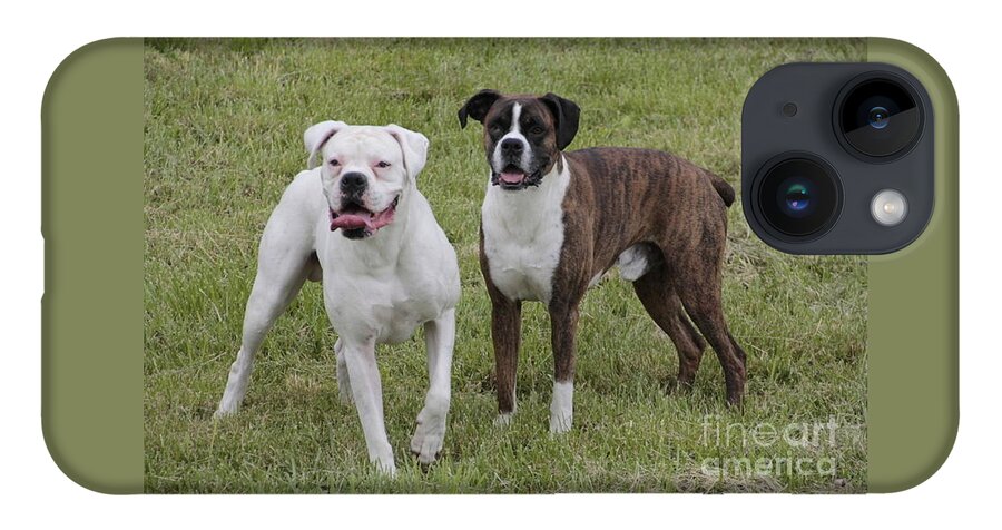Dogs iPhone 14 Case featuring the photograph Boxer Dogs Friends by Valerie Collins