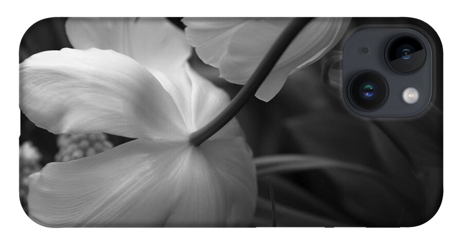 Spring Bulbs iPhone 14 Case featuring the photograph Gracefully Elegant by Mary Lou Chmura