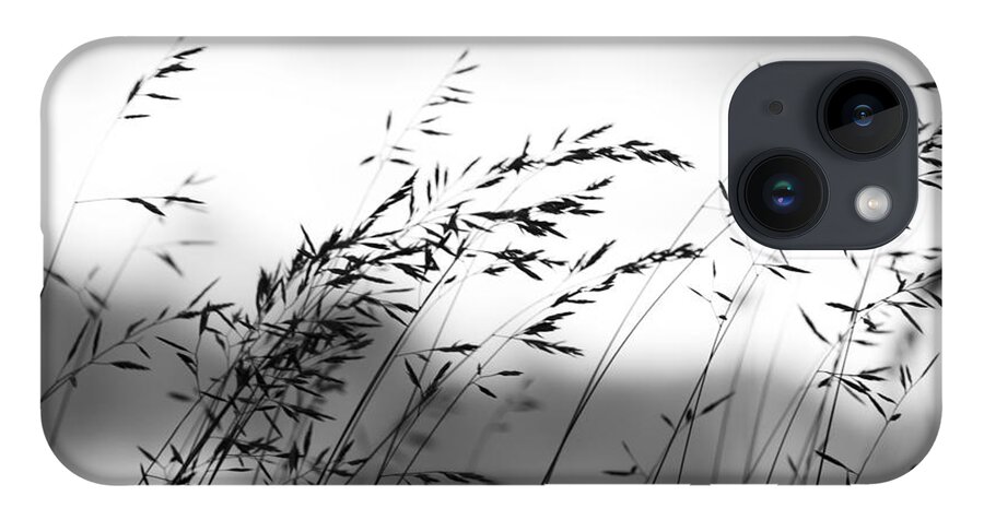 Grass iPhone 14 Case featuring the photograph Grass on Mount Iwaki by Brad Brizek