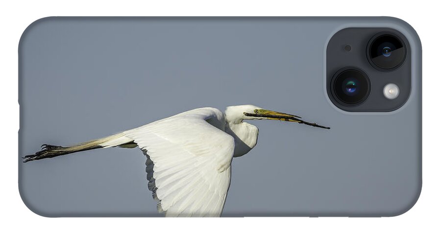 Great Egret iPhone 14 Case featuring the photograph Great Egret With Intentions by Thomas Young