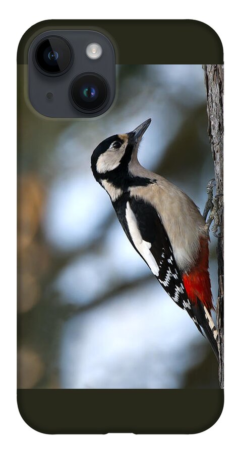 Great Spotted Woodpecker iPhone Case featuring the photograph Great Spotted Woodpecker by Torbjorn Swenelius