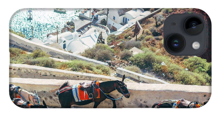Horse iPhone 14 Case featuring the photograph Greece Donkey Santorini by Deimagine