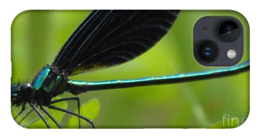 Damselfly iPhone Case featuring the photograph Green Damselfly by Lynellen Nielsen
