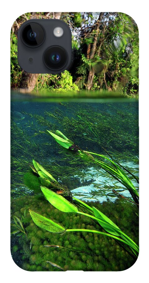 Underwater iPhone 14 Case featuring the photograph Green flow by Artesub