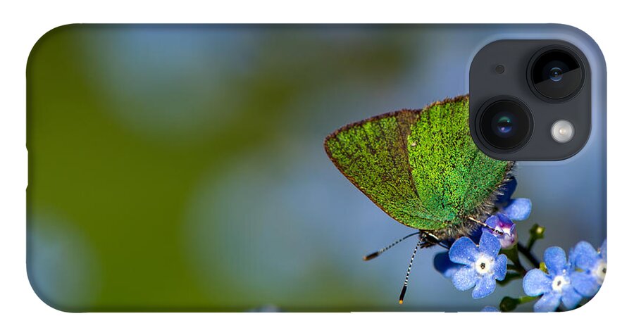 Green Hairstreak iPhone Case featuring the photograph Green Hairstreak by Torbjorn Swenelius