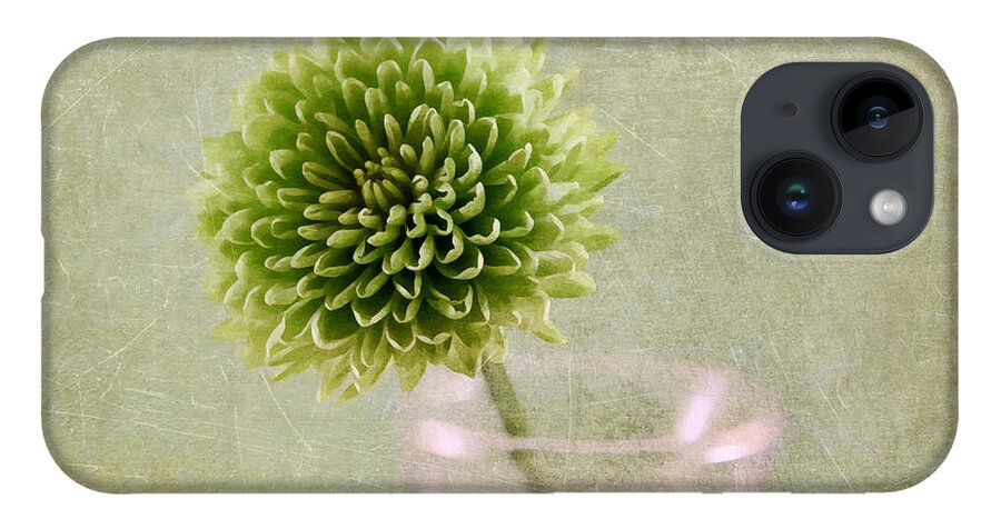 Green iPhone 14 Case featuring the digital art Green on Green by Jayne Carney