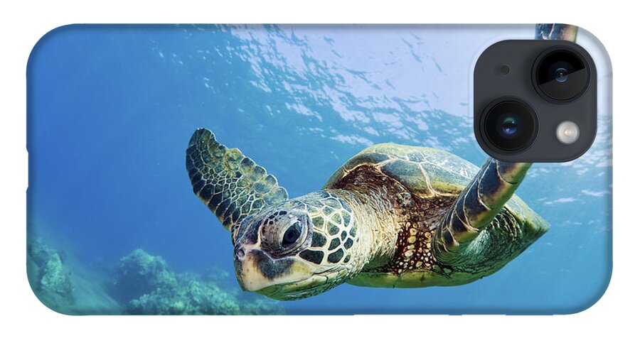 Animal iPhone 14 Case featuring the photograph Green Sea Turtle - Maui by M Swiet Productions