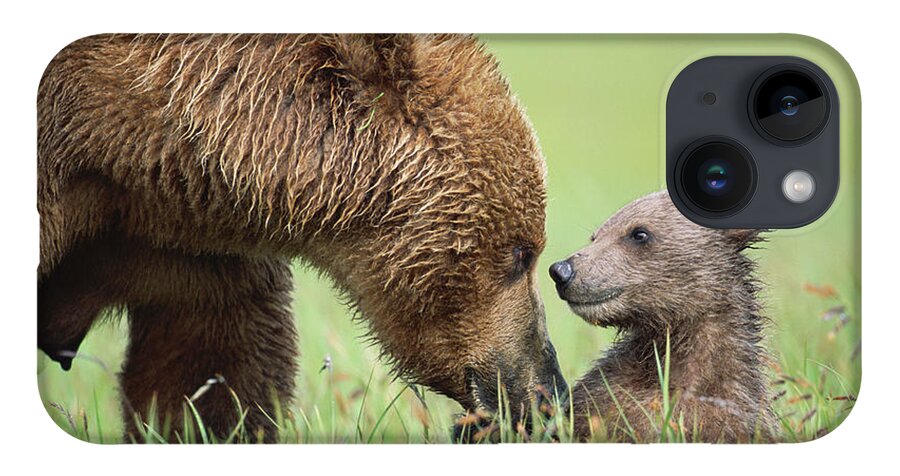 00345260 iPhone 14 Case featuring the photograph Grizzly Bear And Cub in Katmai by Yva Momatiuk John Eastcott