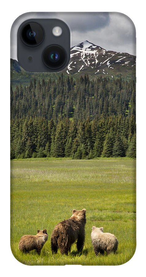 Richard Garvey-williams iPhone 14 Case featuring the photograph Grizzly Bear Mother And Cubs In Meadow by Richard Garvey-Williams