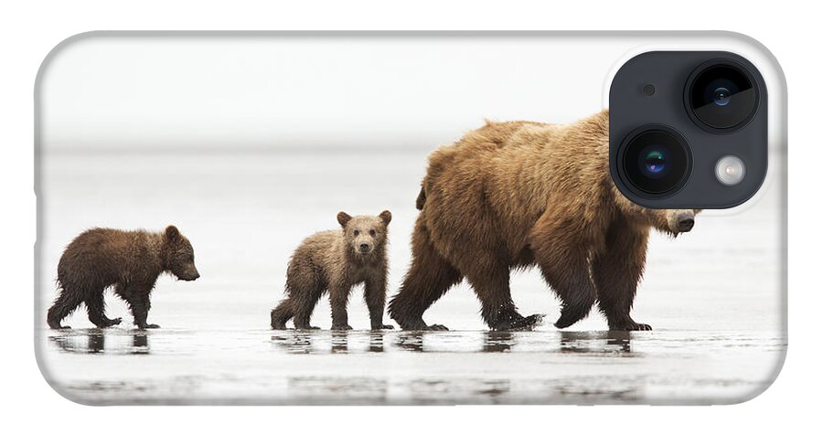 Richard Garvey-williams iPhone Case featuring the photograph Grizzly Bear Mother And Cubs Lake Clark by Richard Garvey-Williams