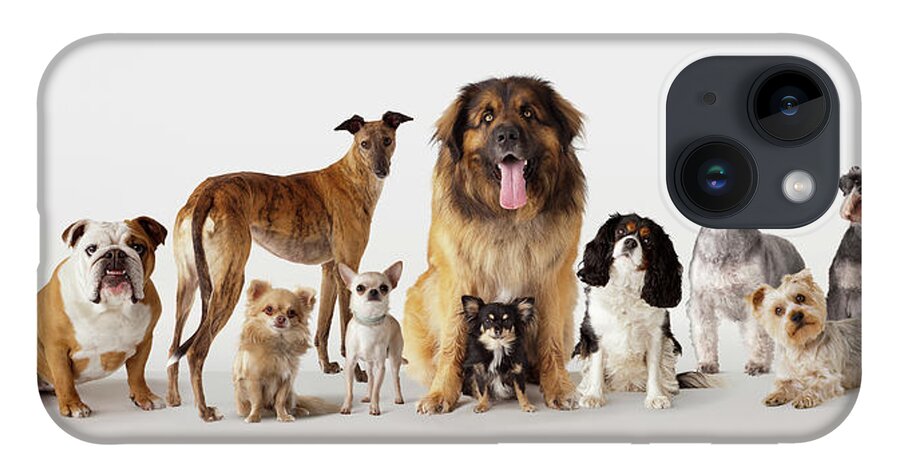 Pets iPhone 14 Case featuring the photograph Group Portrait Of Dogs by Compassionate Eye Foundation/david Leahy