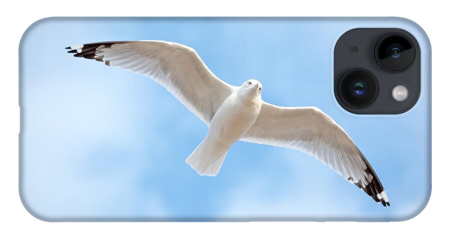 Gull iPhone 14 Case featuring the photograph Gull in the Clouds by Holden The Moment