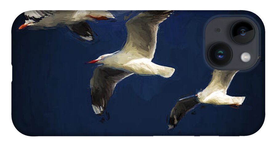 Silver Gulls In Flight iPhone 14 Case featuring the photograph Gulls up the wall by Sheila Smart Fine Art Photography