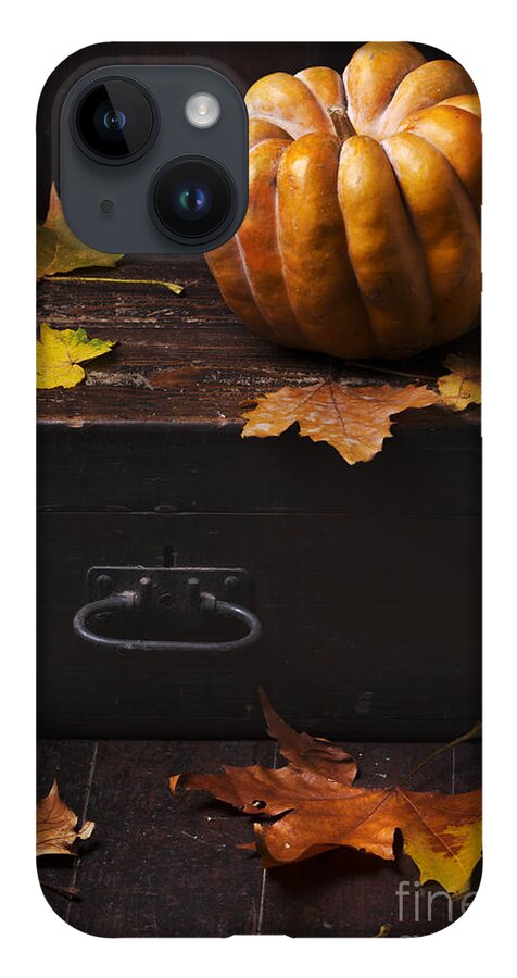 Halloween iPhone Case featuring the photograph Halloween Pumpkin by Jelena Jovanovic
