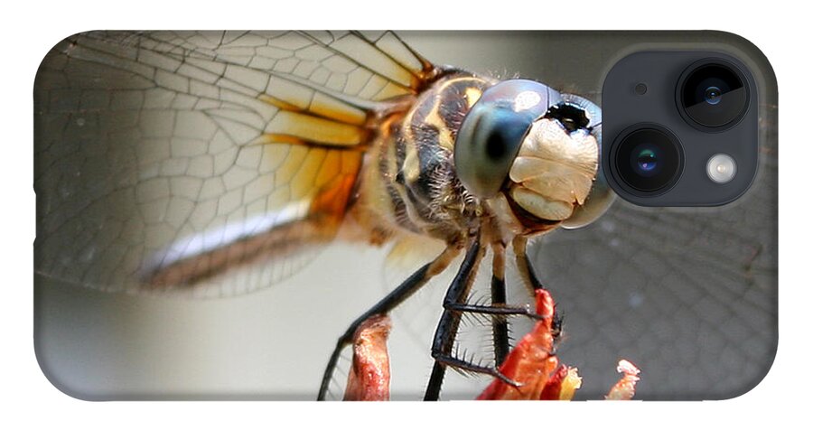 Nature iPhone 14 Case featuring the photograph Happy Dragonfly by William Selander