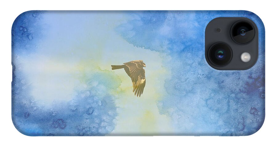 Hawk iPhone Case featuring the photograph Hawk in Flight 2 by Beverly Claire Kaiya