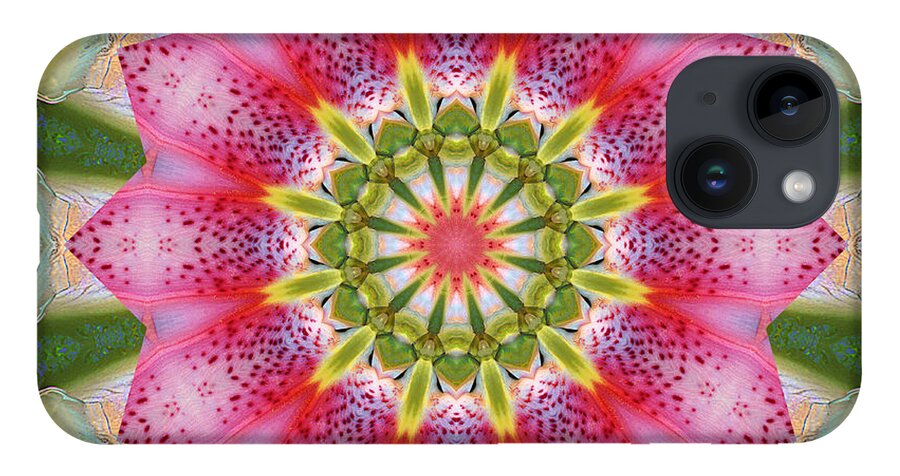 Mandalas iPhone Case featuring the photograph Healing Mandala 25 by Bell And Todd