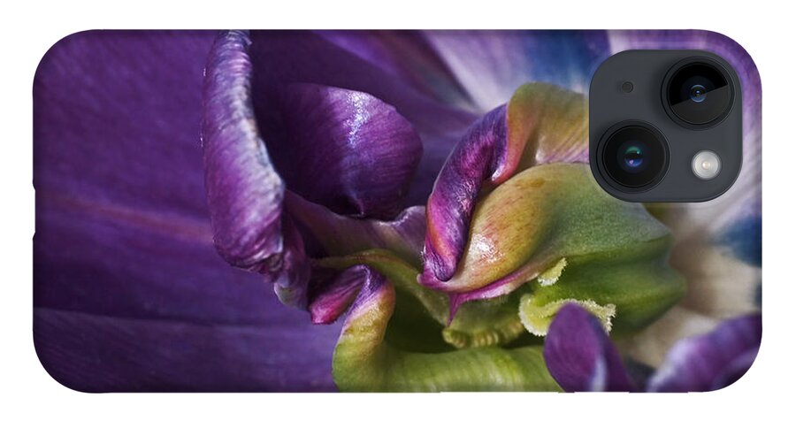 Purple iPhone 14 Case featuring the photograph Heart of a Purple Tulip by Rona Black