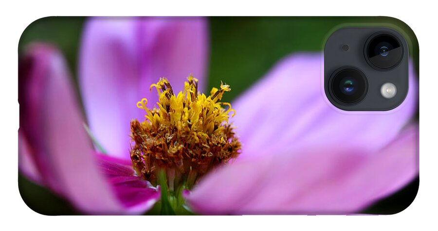 Cosmos Flower iPhone 14 Case featuring the photograph Heart Of Solitude by Michael Eingle
