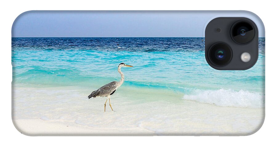 Animal iPhone 14 Case featuring the photograph Heron Takes A Walk At The Beach by Hannes Cmarits