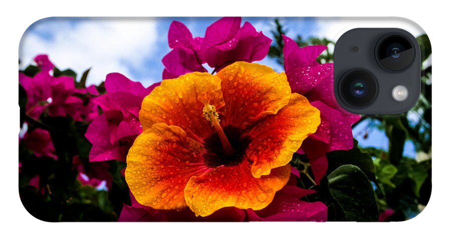 Beautiful iPhone 14 Case featuring the photograph Hibiscus Beauty by Randy Sylvia