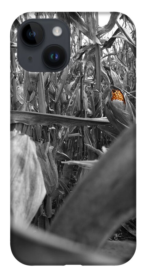 Dylan Punke iPhone 14 Case featuring the photograph Hidden Kernels by Dylan Punke