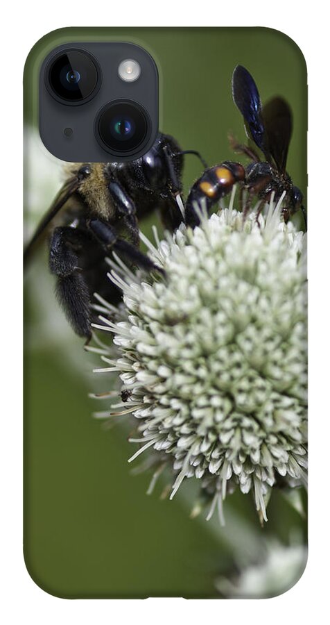 Close-ups iPhone 14 Case featuring the photograph Honey Bee 0001 by Donald Brown