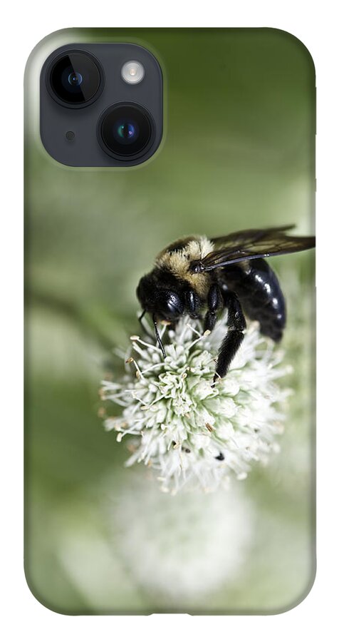 Close-ups iPhone 14 Case featuring the photograph Honey Bee at Work by Donald Brown