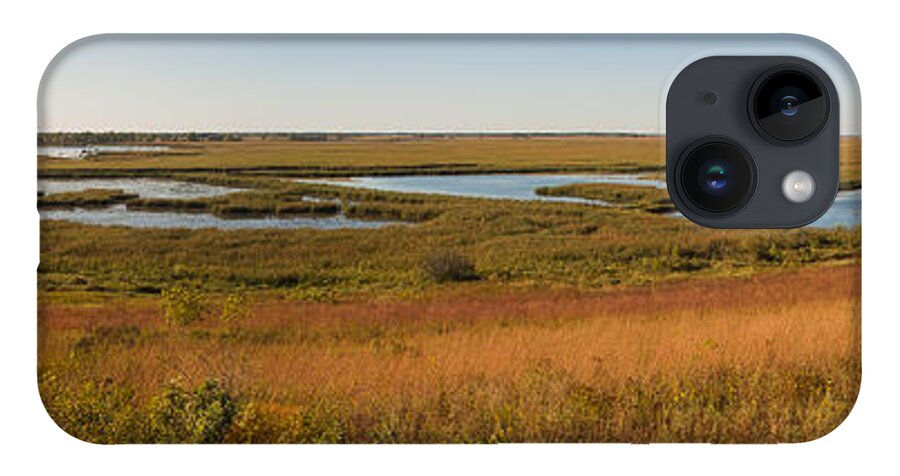 Birds iPhone Case featuring the photograph Horicon Marsh by Steven Ralser