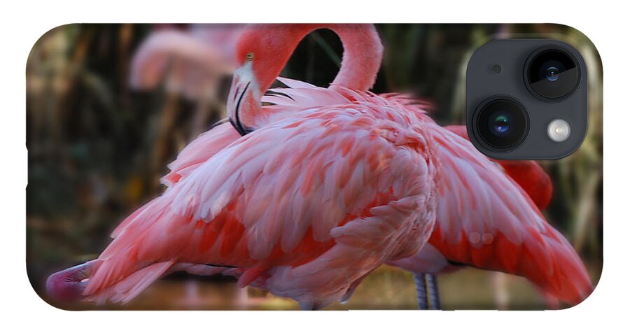 Flamingo iPhone 14 Case featuring the photograph face mask Hot Pink by Patricia Dennis
