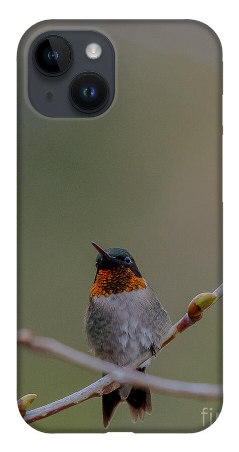 Landscape iPhone 14 Case featuring the photograph Hummer Portrait by Cheryl Baxter