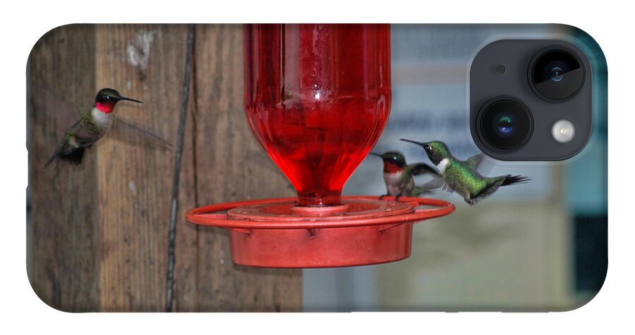 Hummingbirds iPhone 14 Case featuring the photograph Hummers by David Armstrong