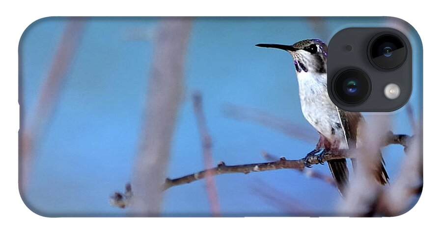 Bird iPhone Case featuring the photograph Hummingbird 20323 3 by Jerry Sodorff