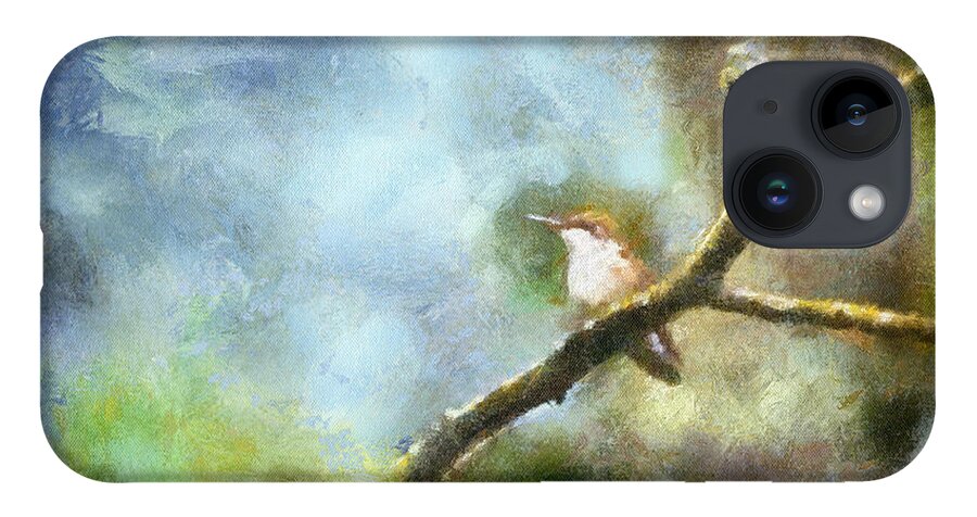 Hummingbird iPhone Case featuring the photograph Hummingbird by Kerri Farley