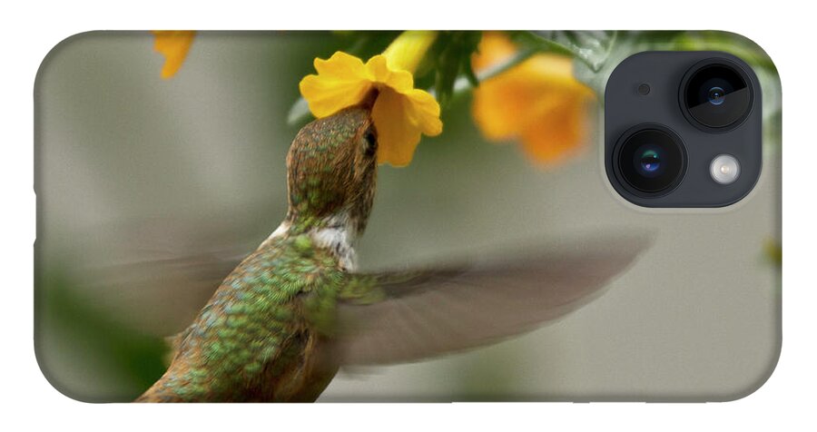 Bird iPhone 14 Case featuring the photograph Hummingbird sips Nectar by Heiko Koehrer-Wagner