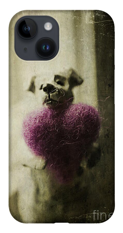 Dog iPhone 14 Case featuring the photograph I Give You My Heart by Terry Rowe