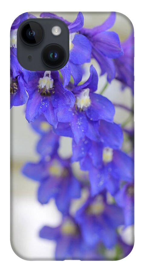 Delphinium iPhone 14 Case featuring the photograph I Got the Blues by Ruth Kamenev