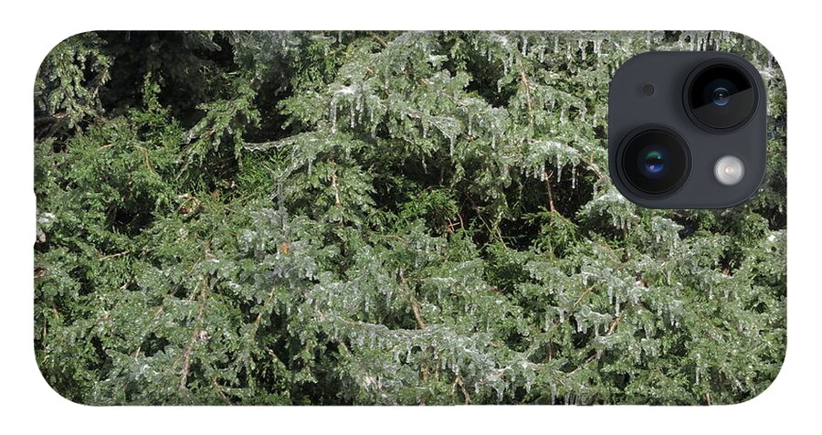 Ice iPhone Case featuring the photograph Ice On Eastern Red Cedar by Daniel Reed