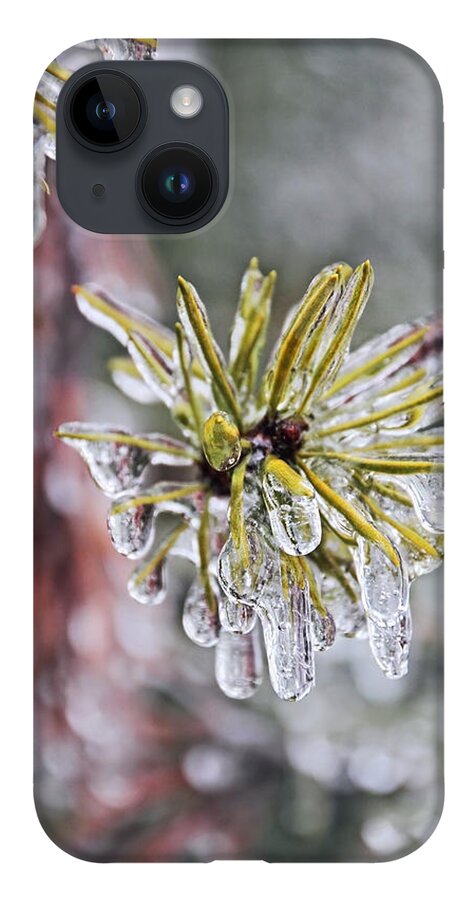 Ice Storm iPhone Case featuring the photograph Ice Storm Remnants by Theo OConnor