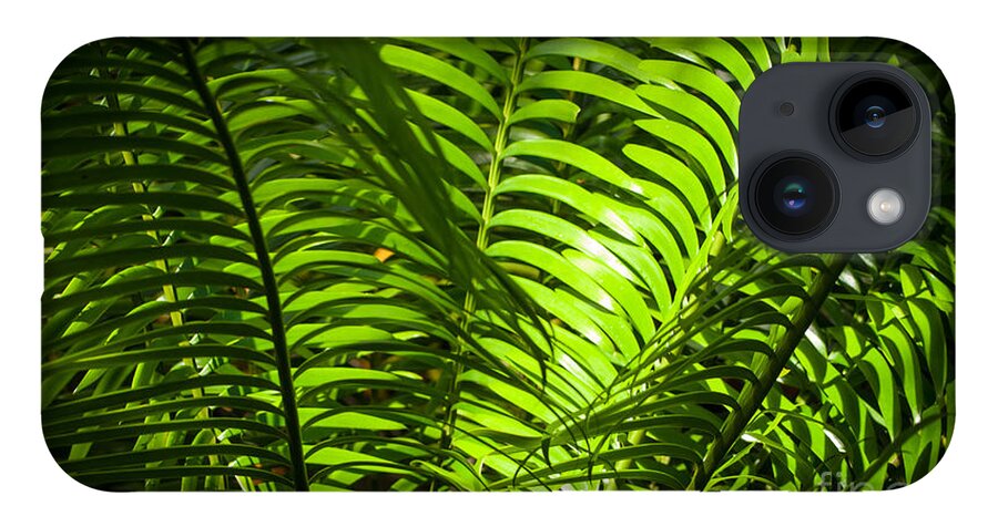 Hawaii iPhone 14 Case featuring the photograph Illuminated Jungle Fern by Blake Webster