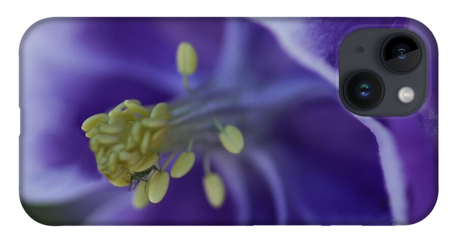 Images Of Blue Columbine iPhone 14 Case featuring the photograph In A Bugs World by Mary Lou Chmura