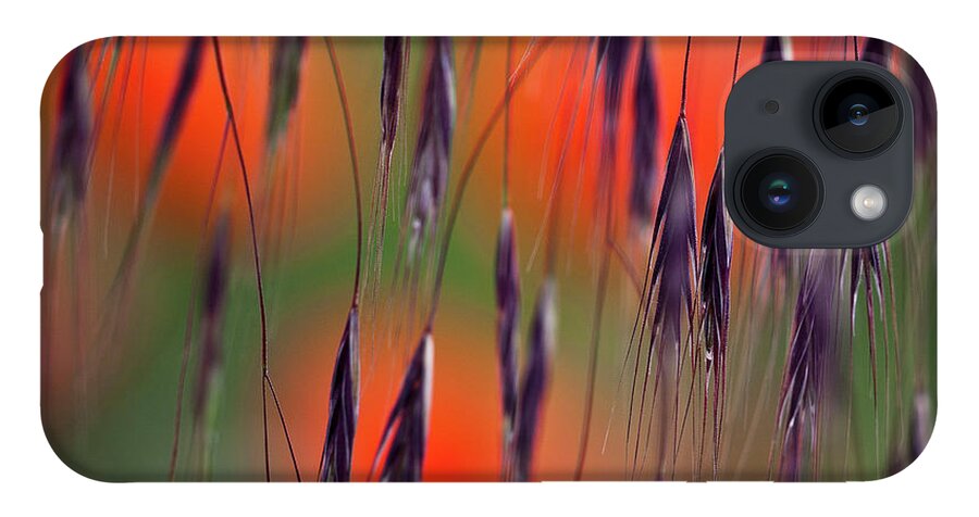 Abstract iPhone Case featuring the photograph In the Meadow by Heiko Koehrer-Wagner