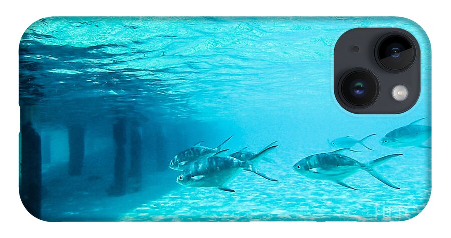 Animal iPhone 14 Case featuring the photograph In The Turquoise Water by Hannes Cmarits