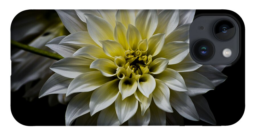Botanical iPhone Case featuring the photograph Inner Glow by Christi Kraft