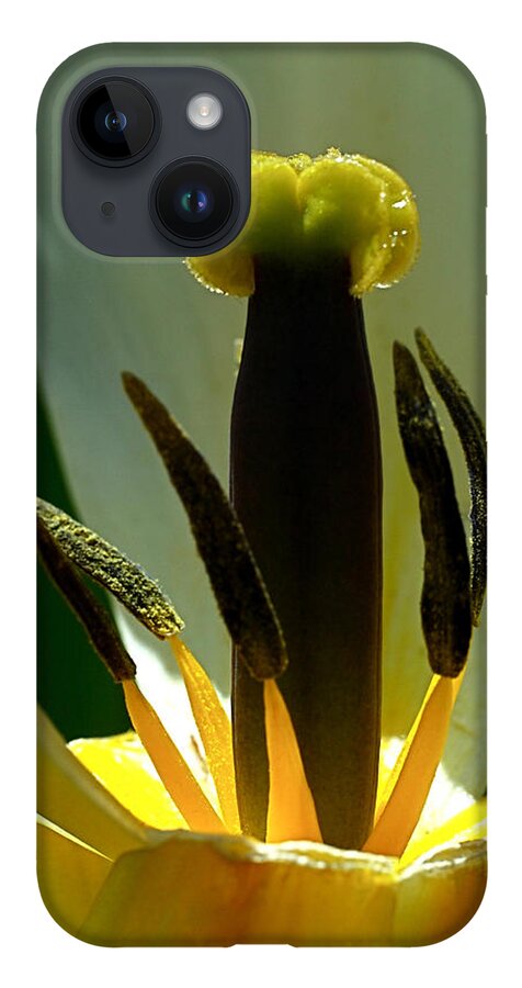 Tulip iPhone 14 Case featuring the photograph Inner Workings by Rona Black