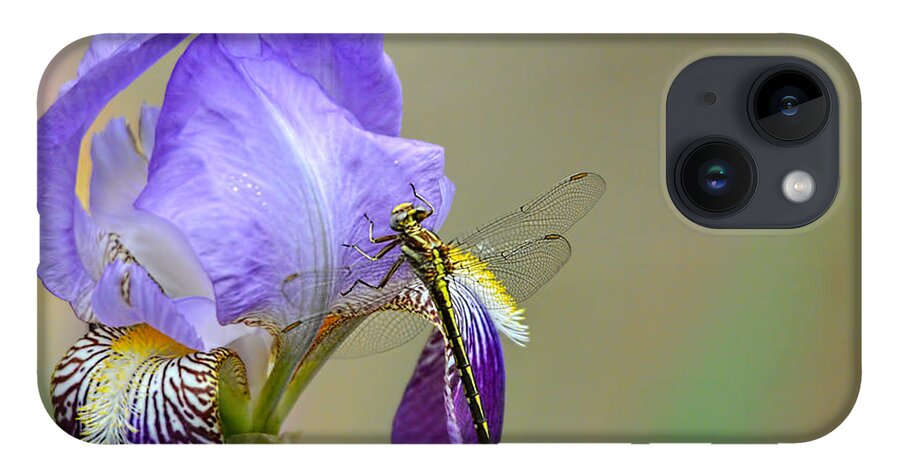 Iris Germanica iPhone 14 Case featuring the photograph Iris and the Dragonfly 2 by Jai Johnson